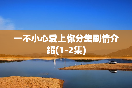 一不小心爱上你分集剧情介绍(1-2集)