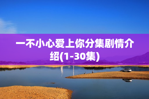 一不小心爱上你分集剧情介绍(1-30集)