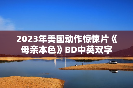 2023年美国动作惊悚片《母亲本色》BD中英双字
