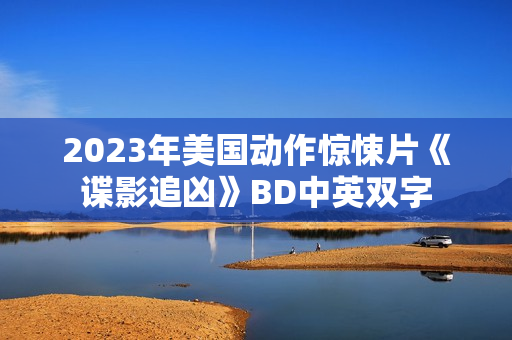 2023年美国动作惊悚片《谍影追凶》BD中英双字