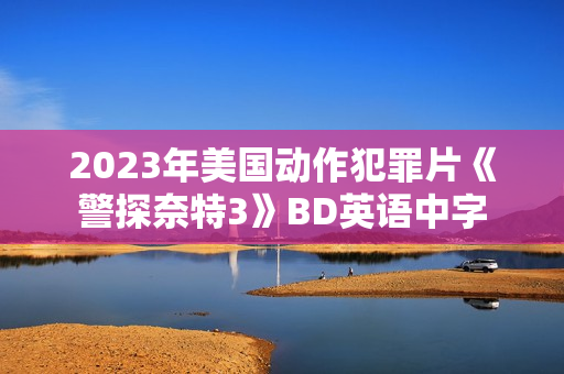 2023年美国动作犯罪片《警探奈特3》BD英语中字