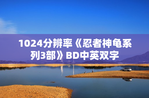 1024分辨率《忍者神龟系列3部》BD中英双字