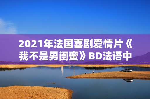 2021年法国喜剧爱情片《我不是男闺蜜》BD法语中字