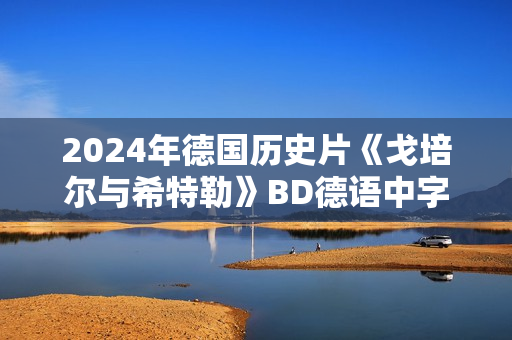 2024年德国历史片《戈培尔与希特勒》BD德语中字