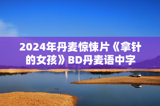 2024年丹麦惊悚片《拿针的女孩》BD丹麦语中字