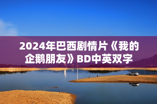 2024年巴西剧情片《我的企鹅朋友》BD中英双字