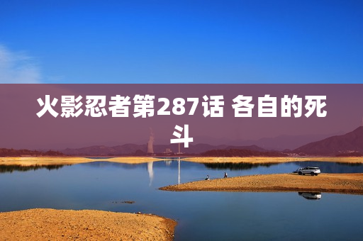 火影忍者第287话 各自的死斗