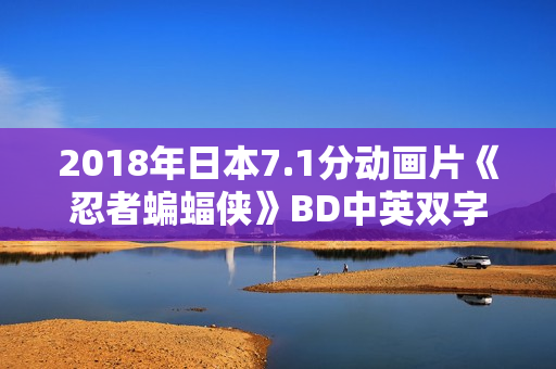 2018年日本7.1分动画片《忍者蝙蝠侠》BD中英双字