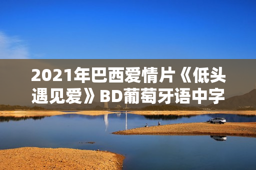 2021年巴西爱情片《低头遇见爱》BD葡萄牙语中字 2021年巴西爱情片《低头遇见爱》BD葡萄牙语中字