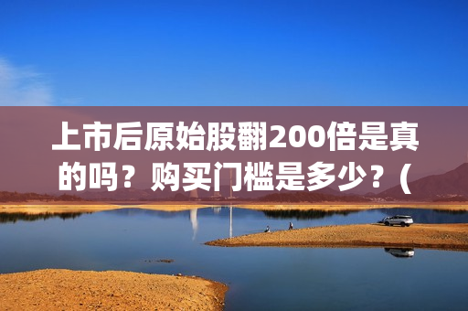 上市后原始股翻200倍是真的吗？购买门槛是多少？(上市原始股能翻倍)