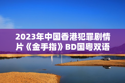 2023年中国香港犯罪剧情片《金手指》BD国粤双语中字