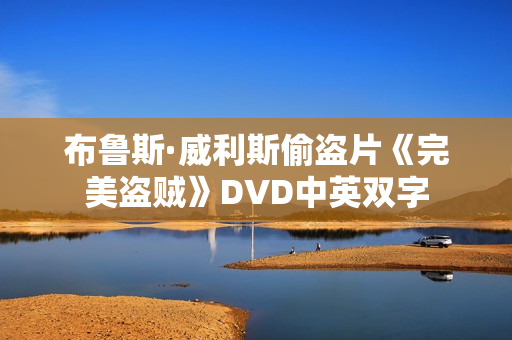 布鲁斯·威利斯偷盗片《完美盗贼》DVD中英双字