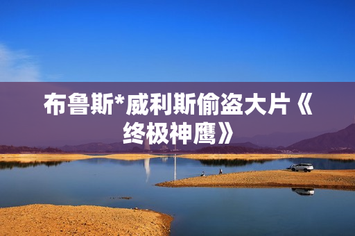 布鲁斯*威利斯偷盗大片《终极神鹰》