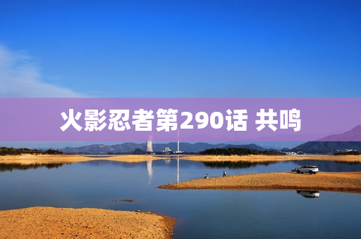 火影忍者第290话 共鸣