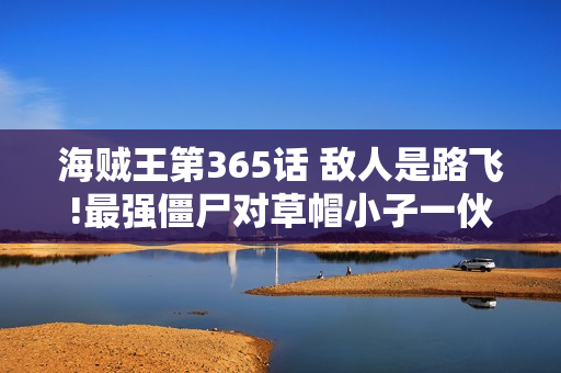 海贼王第365话 敌人是路飞!最强僵尸对草帽小子一伙