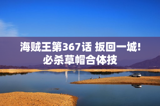 海贼王第367话 扳回一城!必杀草帽合体技