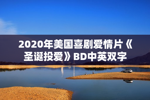 2020年美国喜剧爱情片《圣诞投爱》BD中英双字