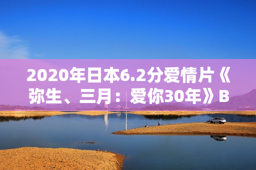 2020年日本6.2分爱情片《弥生、三月：爱你30年》BD日语中字