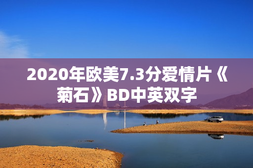 2020年欧美7.3分爱情片《菊石》BD中英双字
