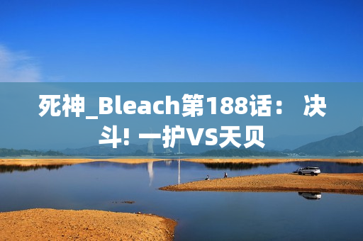 死神_Bleach第188话： 决斗! 一护VS天贝