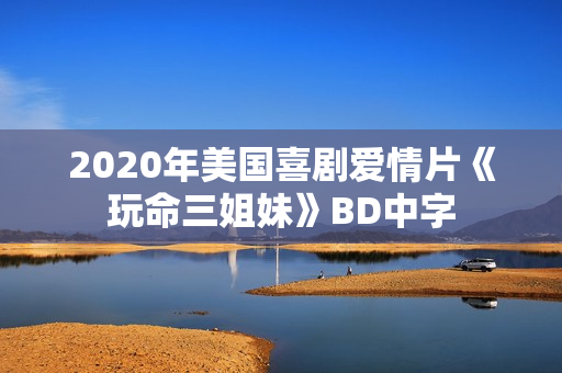 2020年美国喜剧爱情片《玩命三姐妹》BD中字
