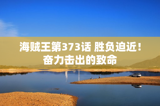 海贼王第373话 胜负迫近！奋力击出的致命