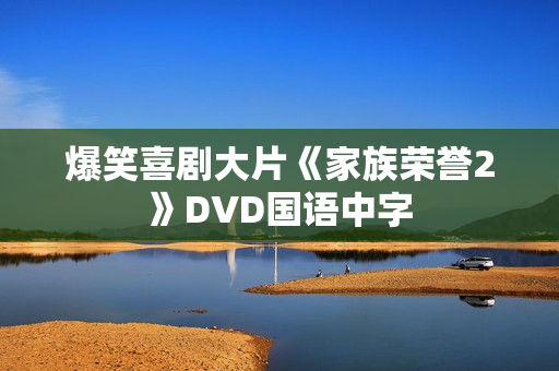 爆笑喜剧大片《家族荣誉2》DVD国语中字