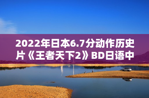 2022年日本6.7分动作历史片《王者天下2》BD日语中字