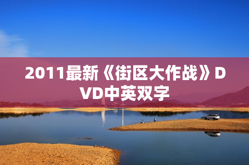 2011最新《街区大作战》DVD中英双字