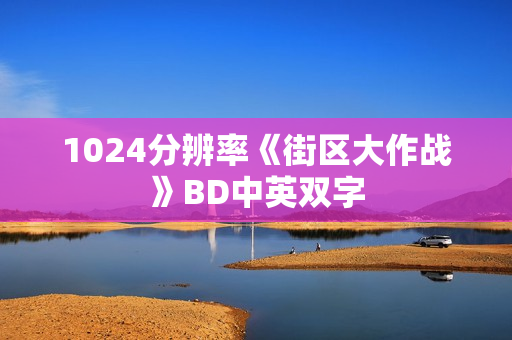 1024分辨率《街区大作战》BD中英双字