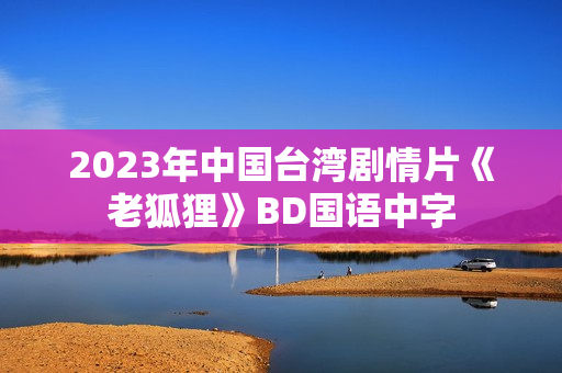 2023年中国台湾剧情片《老狐狸》BD国语中字
