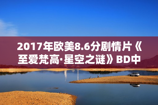 2017年欧美8.6分剧情片《至爱梵高·星空之谜》BD中英双字