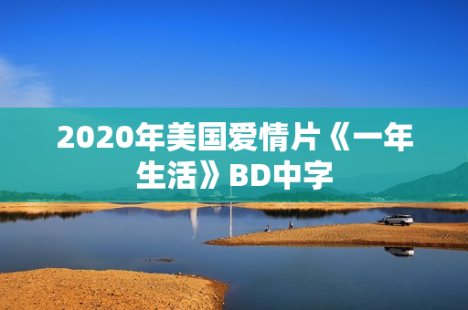 2020年美国爱情片《一年生活》BD中字