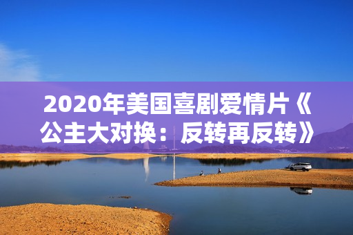 2020年美国喜剧爱情片《公主大对换：反转再反转》BD中字