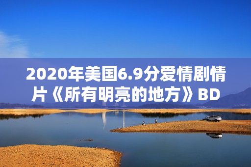 2020年美国6.9分爱情剧情片《所有明亮的地方》BD中字