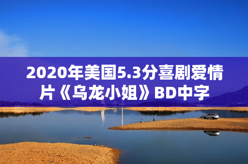 2020年美国5.3分喜剧爱情片《乌龙小姐》BD中字