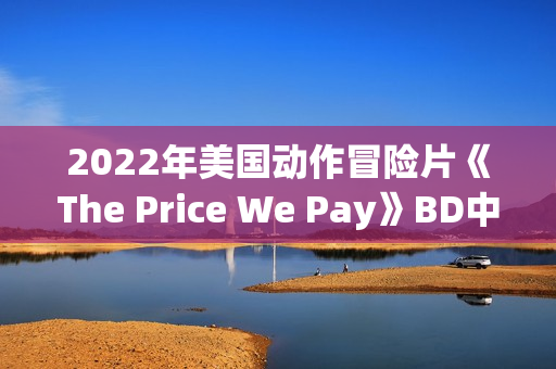 2022年美国动作冒险片《The Price We Pay》BD中英双字