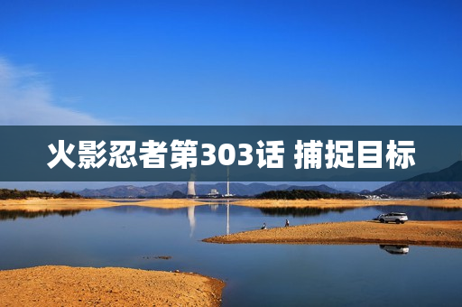 火影忍者第303话 捕捉目标