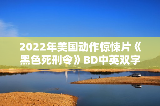 2022年美国动作惊悚片《黑色死刑令》BD中英双字