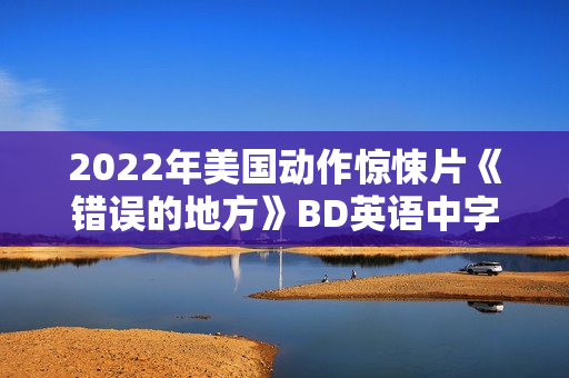 2022年美国动作惊悚片《错误的地方》BD英语中字