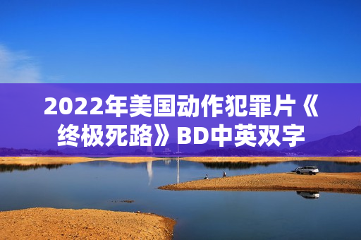 2022年美国动作犯罪片《终极死路》BD中英双字
