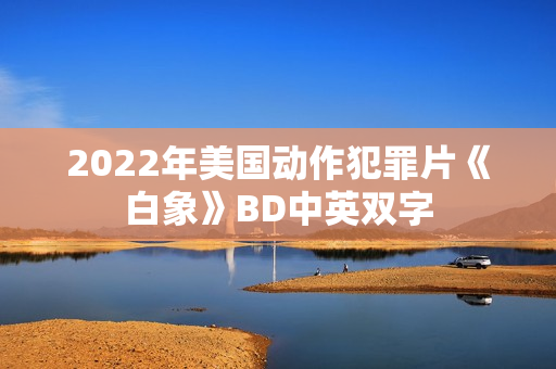 2022年美国动作犯罪片《白象》BD中英双字