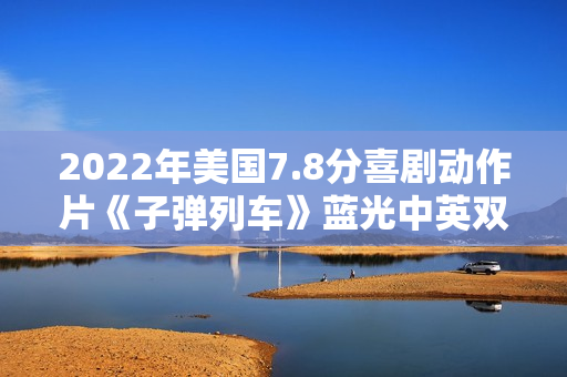 2022年美国7.8分喜剧动作片《子弹列车》蓝光中英双字