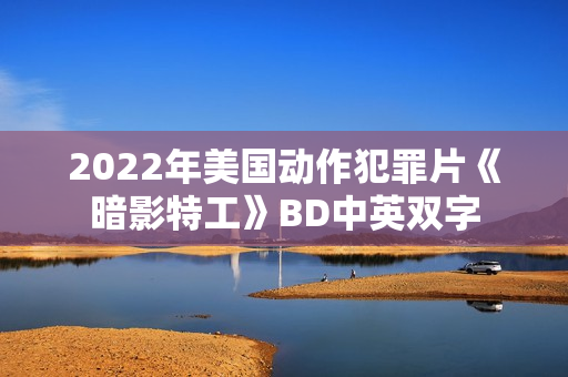 2022年美国动作犯罪片《暗影特工》BD中英双字