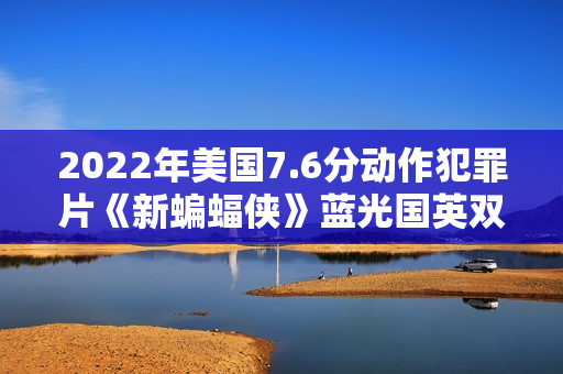 2022年美国7.6分动作犯罪片《新蝙蝠侠》蓝光国英双语中字