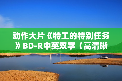 动作大片《特工的特别任务》BD-R中英双字（高清晰版）