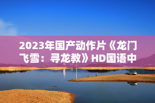 2023年国产动作片《龙门飞雪：寻龙教》HD国语中字