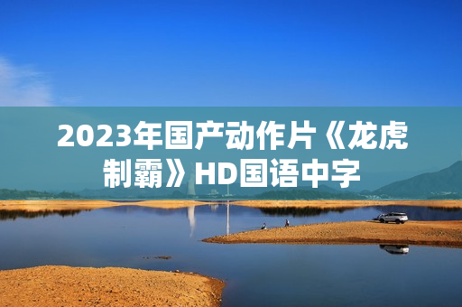 2023年国产动作片《龙虎制霸》HD国语中字