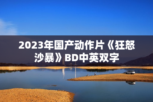 2023年国产动作片《狂怒沙暴》BD中英双字