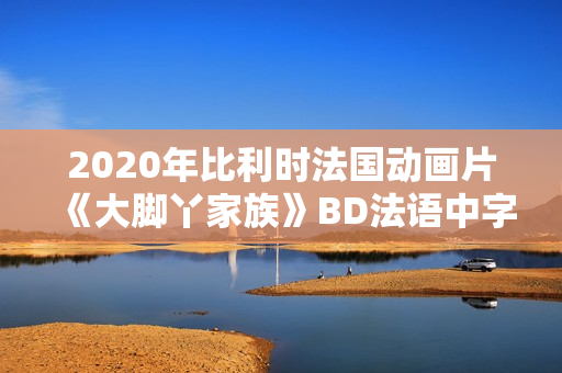 2020年比利时法国动画片《大脚丫家族》BD法语中字